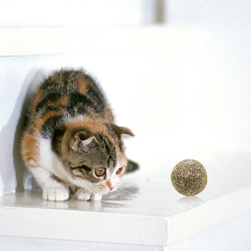 Pet Cat Natural Catnip Treat Ball Cat chasing activity ball Pet food cat snacks Cat grass ball Cat refreshing excitement